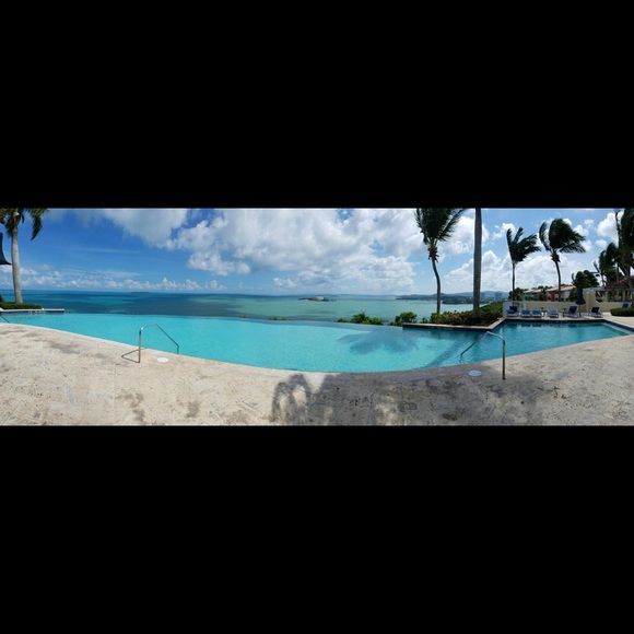 Meet your Posher, Casey - Picture 1 of 1